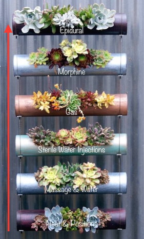 Screen Shot 2015-09-21 at 4.57.14 pm