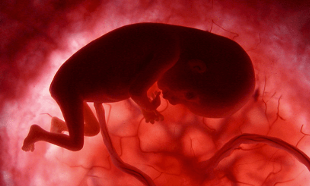 Our Pregnancy Reading&nbsp;List