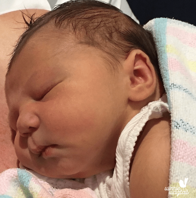 Screen Shot 2015-12-16 at 1.08.06 pm