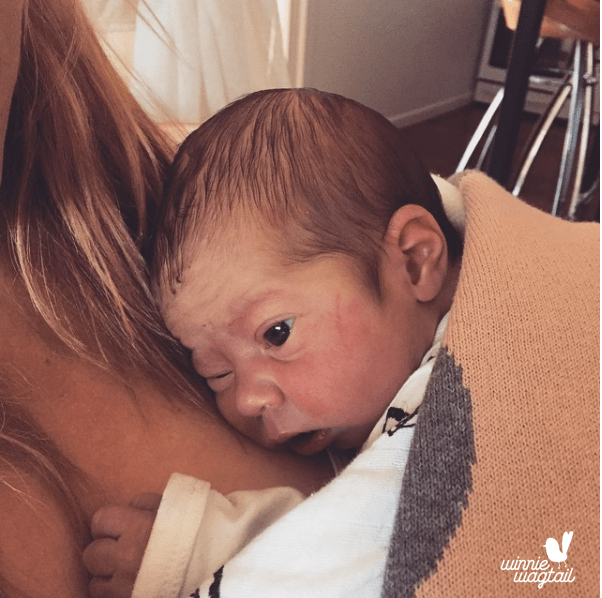 Screen Shot 2015-12-16 at 12.35.51 pm