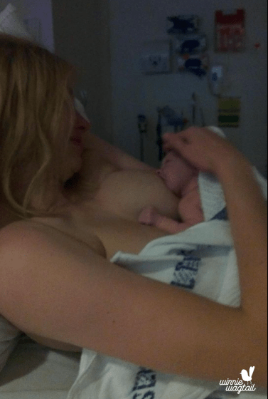 Screen Shot 2015-12-16 at 12.53.50 pm