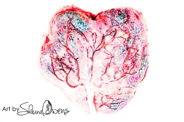 Screen Shot 2016-01-10 at 4.27.54 pm