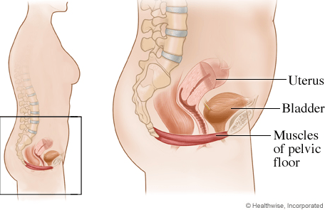 Pelvic Floor Exercises; no activewear&nbsp;required!