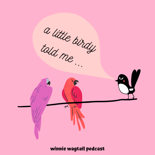 a little birdy told me...